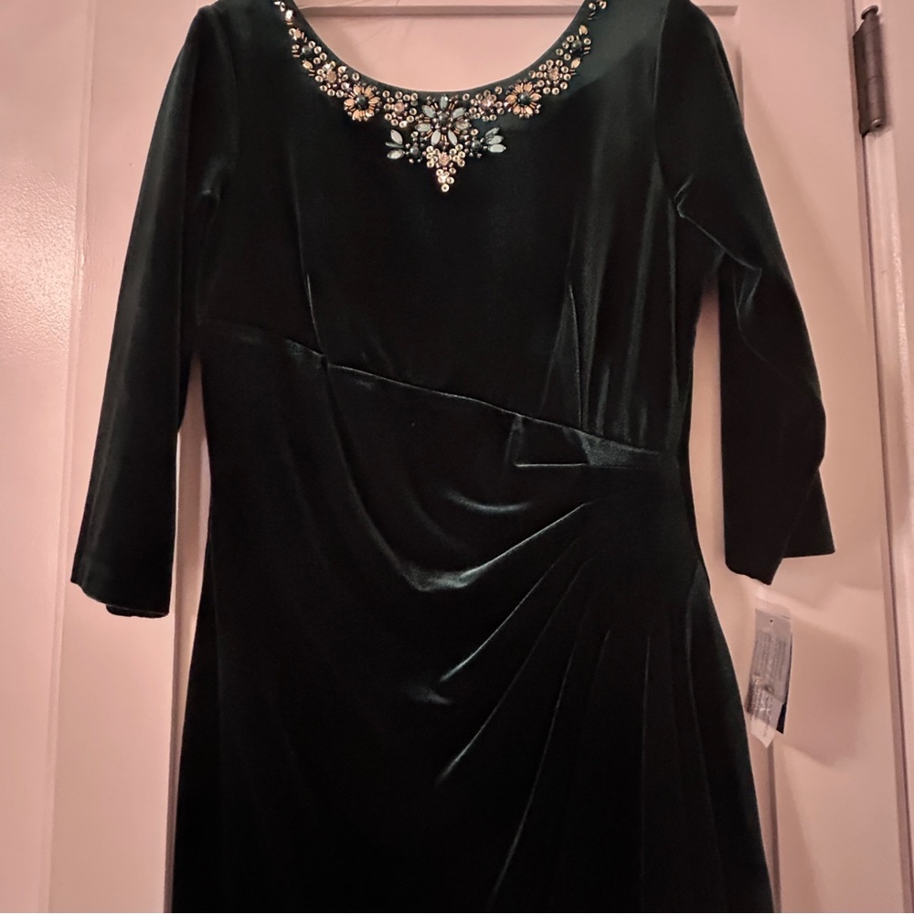 NWT Alex Evenings size 12 green velvet dress